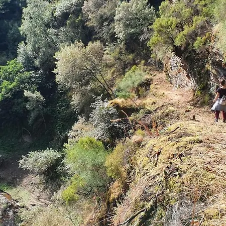 The Way Paradela